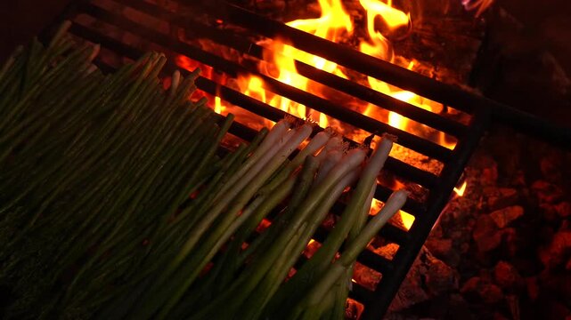 Fresh asparagus and scallions cooking on a hot metal grill over a blazing campfire at night. Healthy vegetables charring on the barbecue during an outdoor camping trip or backyard cookout