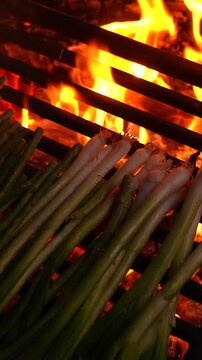 Delicious fresh green calcots, a type of spring onion, grilling on a hot barbecue with bright orange flames licking the grate in a traditional culinary preparation from catalan cuisine