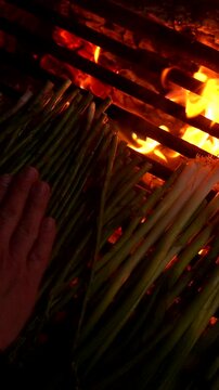 Close up view of a chef's hands arranging traditional catalan calcots, a type of green onion, on a hot barbecue grill over the vibrant flames and glowing embers of an open wood fire