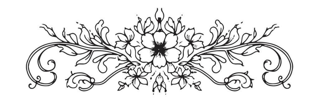 Calligraphic page dividers. Retro decoration, book ornament, chapter and elegant separator