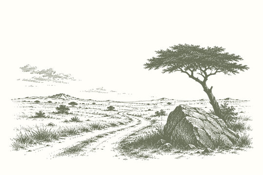 Savannah pathway landscape vector illustration with solitary tree and open plains in refined vintage engraved line art style