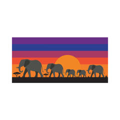 Fototapeta premium Herd of elephants walking during sunset in African savanna