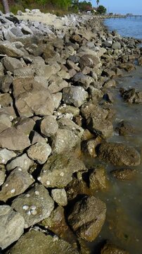 Alabama, Mobile Bay. Shoreline of a saline bay reinforced with granite riprap stones.