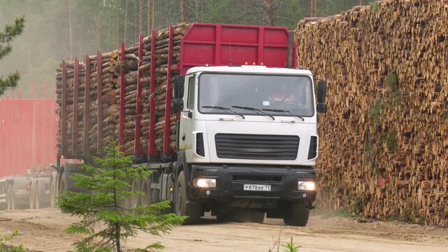 A timber truck transports felled timber along the road to the forest.