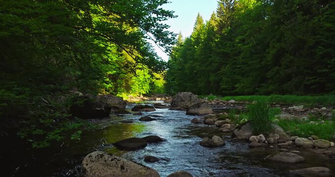 Gentle flyover above a rocky mountain river during spring sunrise with realistic ambient sounds of river and birds. Peaceful flowing water surrounded by green forest landscape with morning light. 