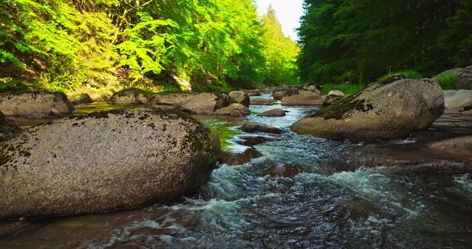 Gentle flyover above a rocky mountain river during spring sunrise with realistic ambient sounds of river and birds. Peaceful flowing water surrounded by green forest landscape with morning light. 