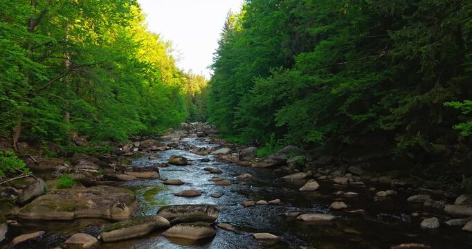 Gentle flyover above a rocky mountain river during spring sunrise with realistic ambient sounds of river and birds. Peaceful flowing water surrounded by green forest landscape with morning light. 