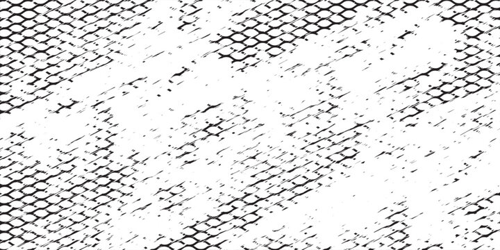 Black snake skin pattern isolated on white background eps 10