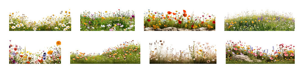 Obraz premium PNG Vibrant wildflower garden borders, transparent background
