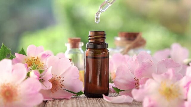 Drop of aromatherapy essential oil falling into a bottle, with pink rose hip flowers on a table