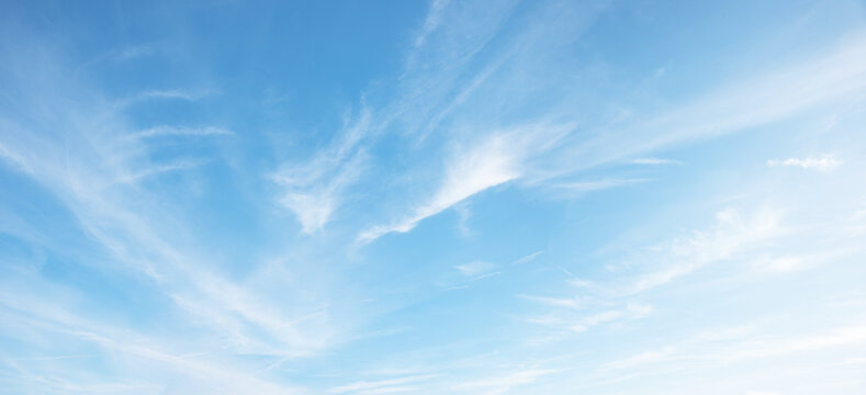 A bright blue sky background with wispy cirrus clouds pointing in various directions.