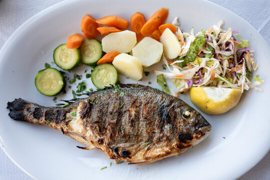 Fisch of the day - Gegrillte  Seebrasse auf einem Teller