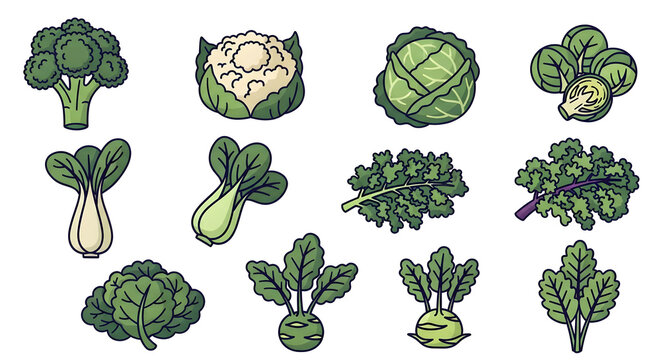 A vibrant illustration of various green leafy vegetables and cruciferous vegetables on display