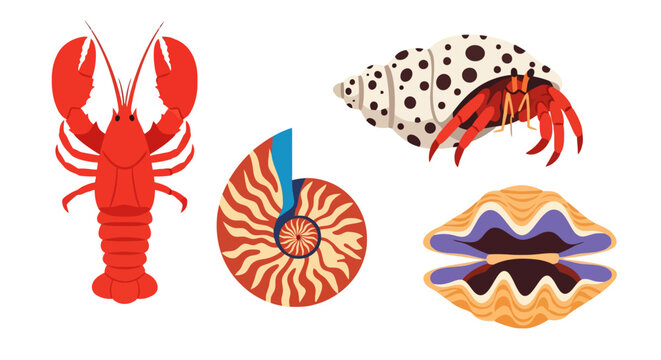 Vibrant Collection of Marine Life - Lobster, Shells, and Hermit Crab.