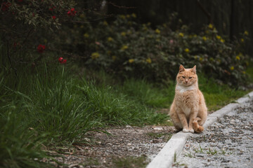 Obraz premium The Garden Keeper