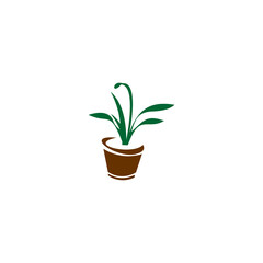 Fototapeta premium The design uses a deep brown color for the simple, slightly tapered pot and a rich green color for the plant's foliage, which consists of several elongated, pointed leaves.