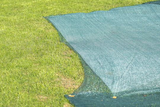 Technology for growing lush grass lawn using protective netting to cover ground and prevent seedlings growth from various damage caused by birds or heat, sheets covering grass for better germination.