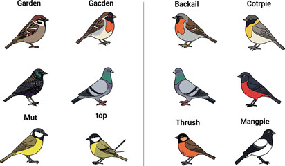 Garden bird icon set with sparrow robin pigeon thrush magpie tit flat vector illustration collection isolated design © MDNUR
