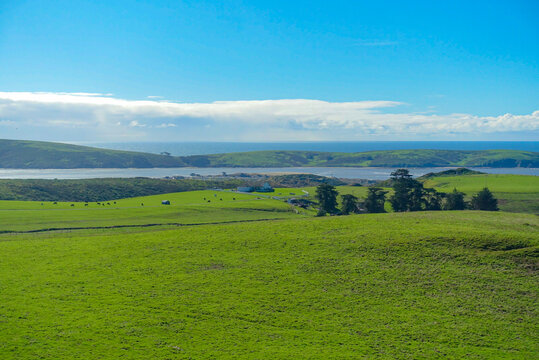 landscape with green field and blue sky at Dillon beach, California on a sunny February day 
