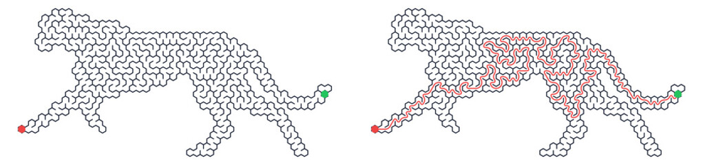 Cheetah walking in maze pattern with paths highlighted in red and green   © Aira