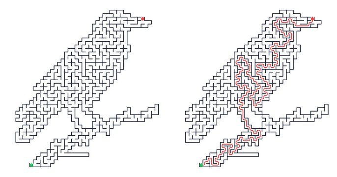 Maze design featuring a bird silhouette with solved path illustration  