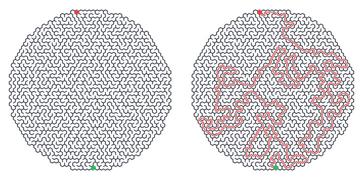 Circular maze design with path marked in red and green endpoints  
