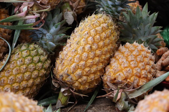 trio of ripe pineapples displayed for sale (close-up, tropical, market) 3786