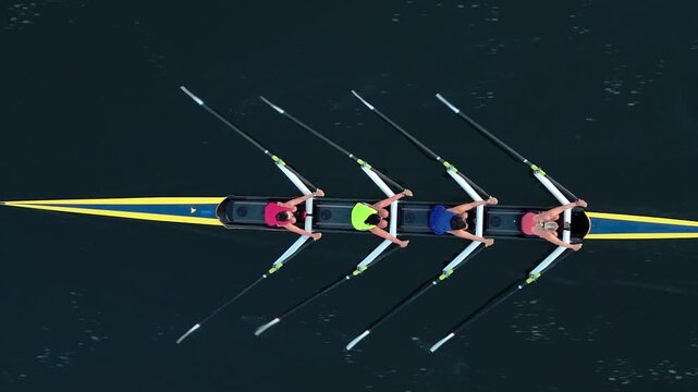 Four determined women rowers glide through Halifax Bay at sunrise, showcasing their strength and connection to nature in the tranquil morning light