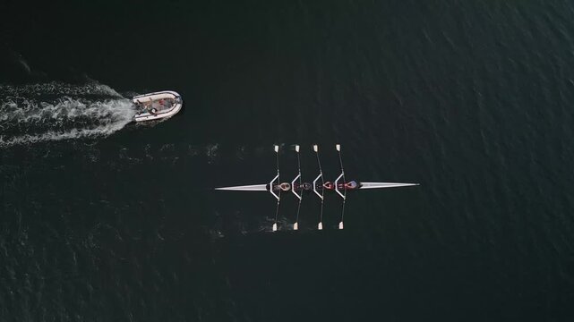 Four dedicated women rowers glide across the calm Halifax Bay at sunrise, embracing nature and showcasing strength, teamwork, and fitness in the morning glow