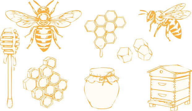 Set of honey elements with bees, honeycomb, honey dipper, jar and beehive