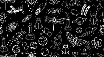Naklejka premium Detailed Scientific and Natural Illustrations in Monochrome Artwork.