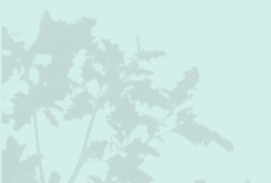 Natural light casts shadows from the field grass on a blue sheet of paper. Mockup