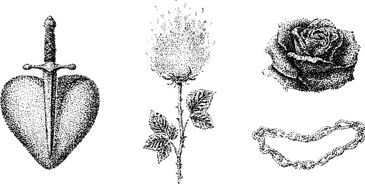 Heart with dagger and rose botanical sketches on white background