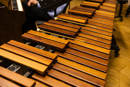Close up of classic wooden marimba bars in orchestra