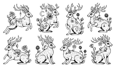 Obraz premium Gothic Jackalope Animal Vector Collection with Horned Hare Folklore Tattoo Artwork