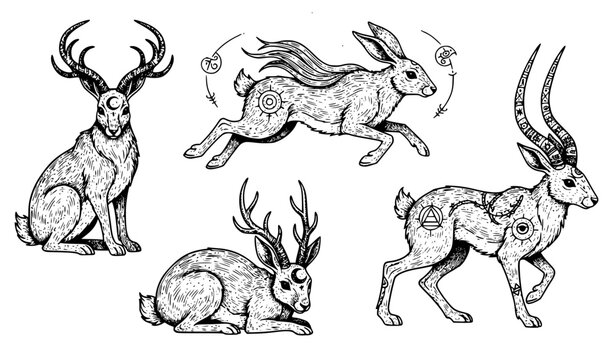Jackalope Hare Folklore Vector Set with Horned Rabbits Gothic Tattoo Line Art Illustration