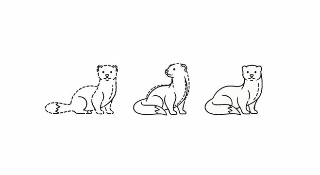 Illustrated series of three sitting ferrets in line art.