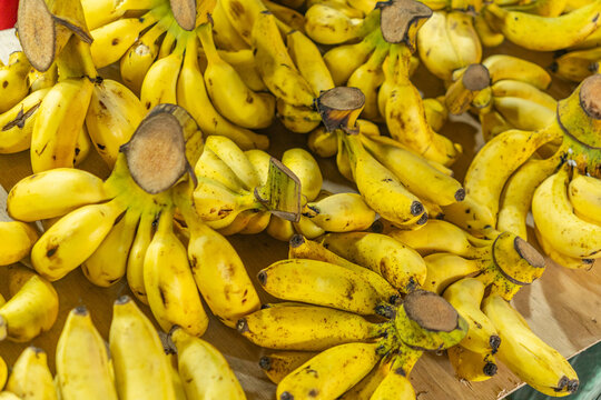 Kuala Lumpur, Malaysia-February 22, 2026: Close up of pisang raja bananas for sale at street market.