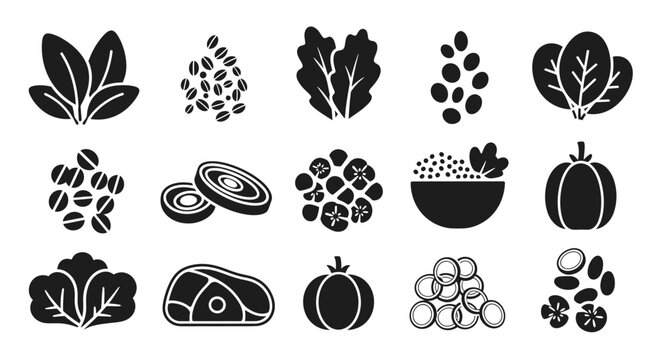 Healthy Food Icons Set: Vegetables, Grains, Meat, Fruits - Vector Graphics