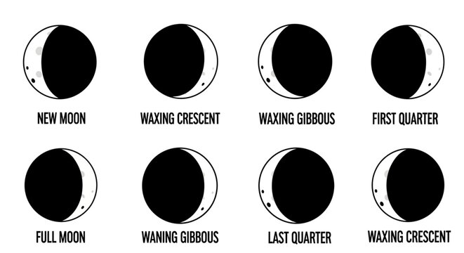 Phases of the Moon Diagram: New Moon to Full Moon Cycle