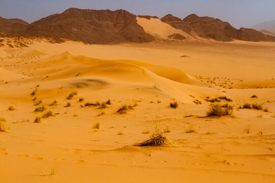 Sahara landscape. The picturesque  Ouan Zaouatan (d'Ouan Zaouten) dunes. The Tadrart Rouge Mountains in the background. Tassili n'Ajjer National Park, Algeria, Africa