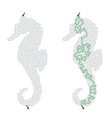 Fototapeta premium TITLE: Labyrinth worksheet in seahorse shape with solved path and answer key, ocean creature maze challenge for children and adults on transparent background