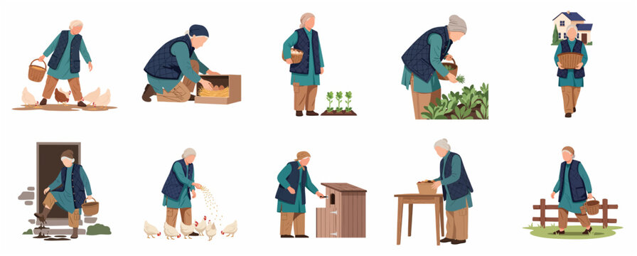 Set of senior woman farmer characters, elderly grandmother engaged in various farm activities like feeding chickens, harvesting vegetables and gathering eggs, flat vector illustration