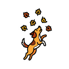 Fototapeta premium Playful dog jumping and catching falling autumn leaves