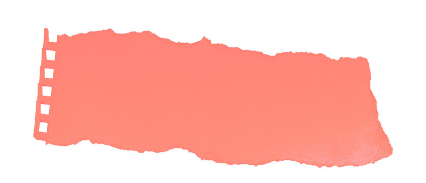 Abstract pink torn paper texture, scrap of paper for scrapbook collage, scrapbooking  - a torn-off page from a spiral-bound notebook or notepad, isolated on transparent or white background png