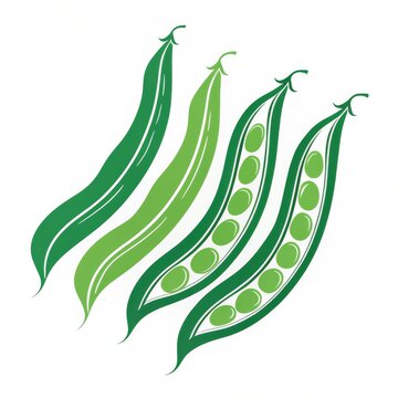 Four green beans isolated on white background, a healthy vegetable illustration