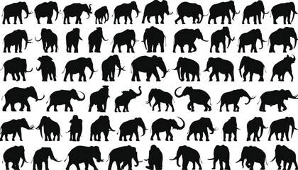 Obraz premium Elephants displayed in a comprehensive set of black silhouettes illustrate various postures and movements of these large mammals, creating a versatile resource for wildlife themed design projects.