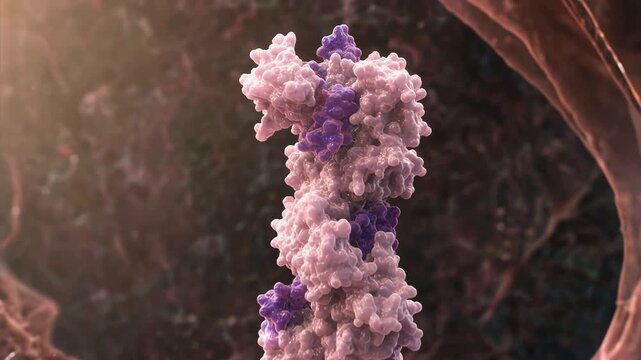 LEPTIN, GHRELIN, HORMONE Microscopic view of Leptin and Ghrelin hormones within a cell, showcasing their vital roles in biological regulation and health