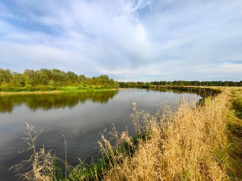 Summer landscape on the river with grass and blue sky.