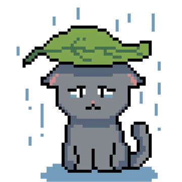 Emoticon PNG images, cute cat emoticons, cat character emoticons, cat emoticons caught in the rain, latest emoticons, cute emoticons, pixel art style emoticons